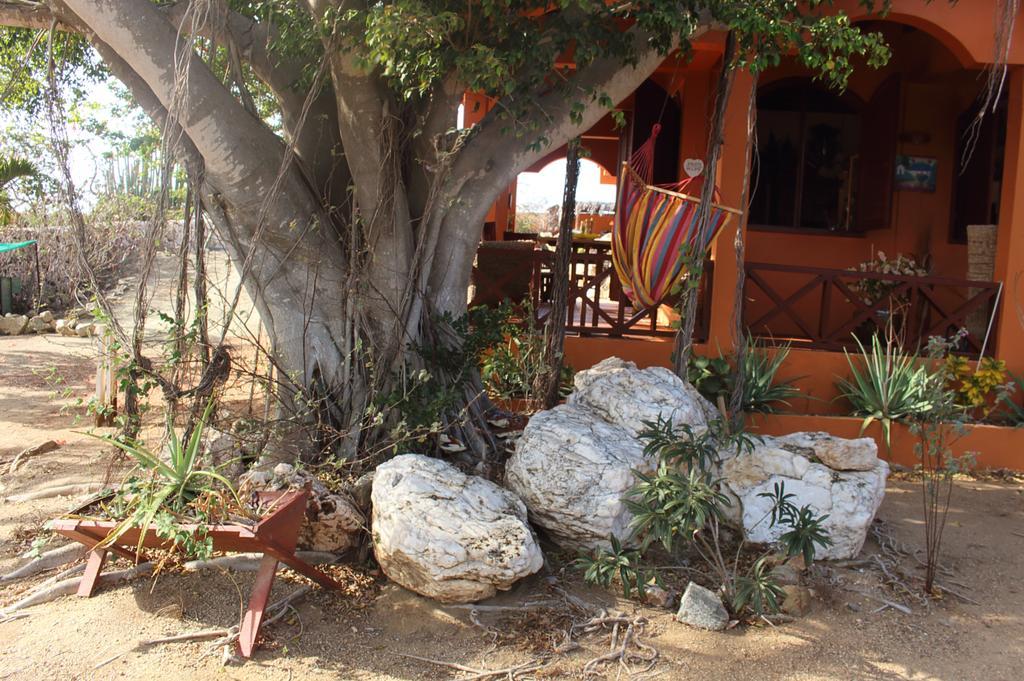Fuego Mio Bed & Breakfast Santa Cruz Exterior foto