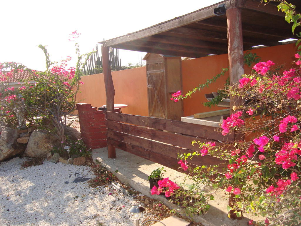 Fuego Mio Bed & Breakfast Santa Cruz Exterior foto