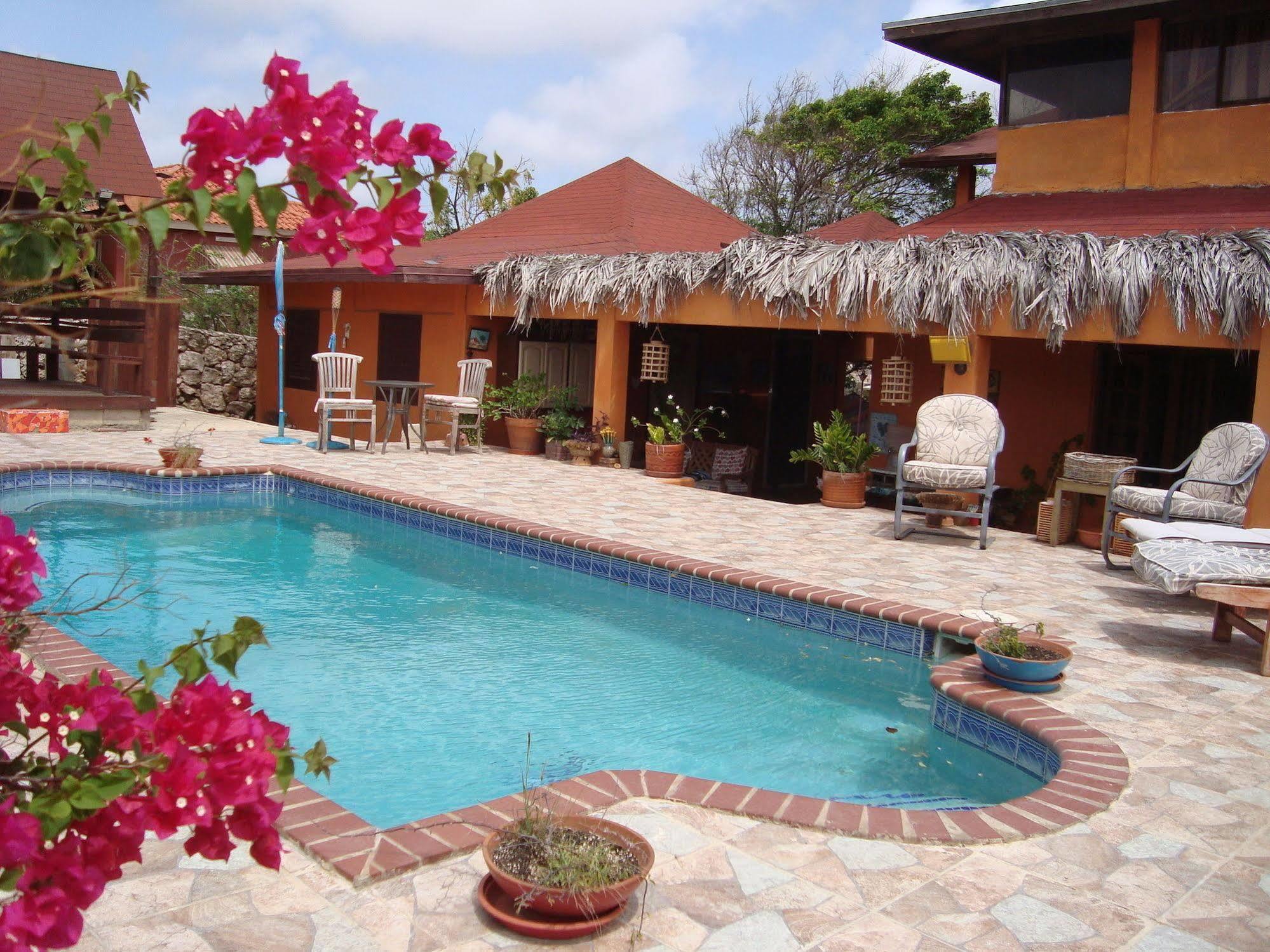 Fuego Mio Bed & Breakfast Santa Cruz Exterior foto