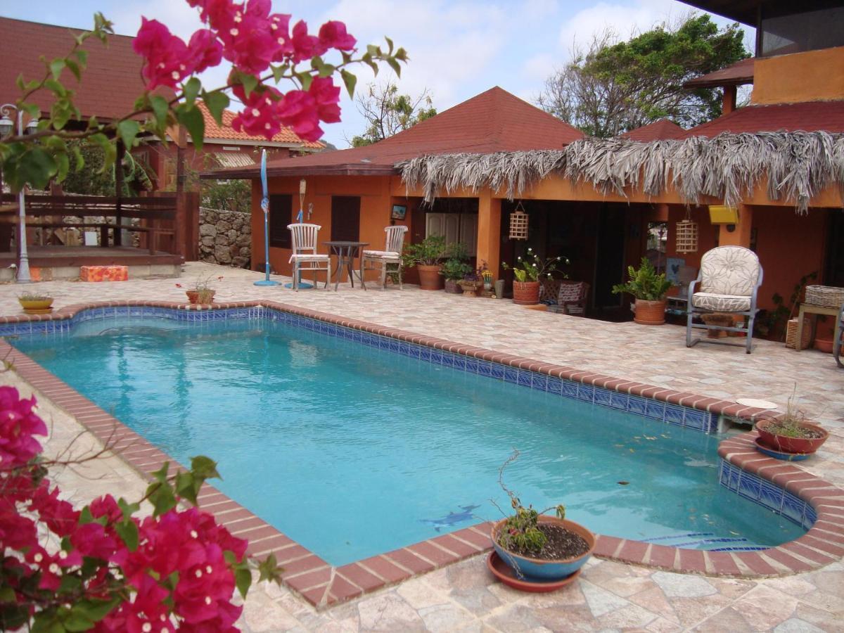 Fuego Mio Bed & Breakfast Santa Cruz Exterior foto